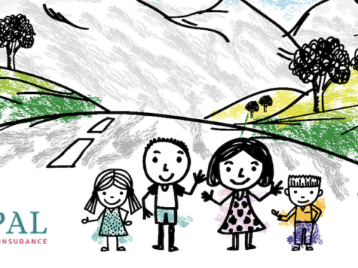 Opal insurance : Who is it for? How does it work? Opal insurance : Who is it for? How does it work?