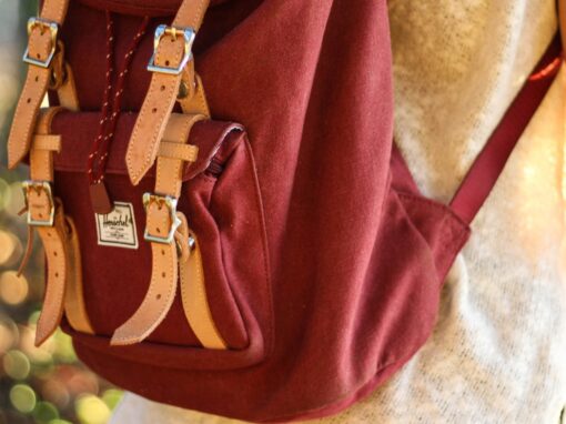 Faced with increasingly mobile students and pupils, health no longer has any borders! Faced with increasingly mobile students and pupils, health no longer has any borders!